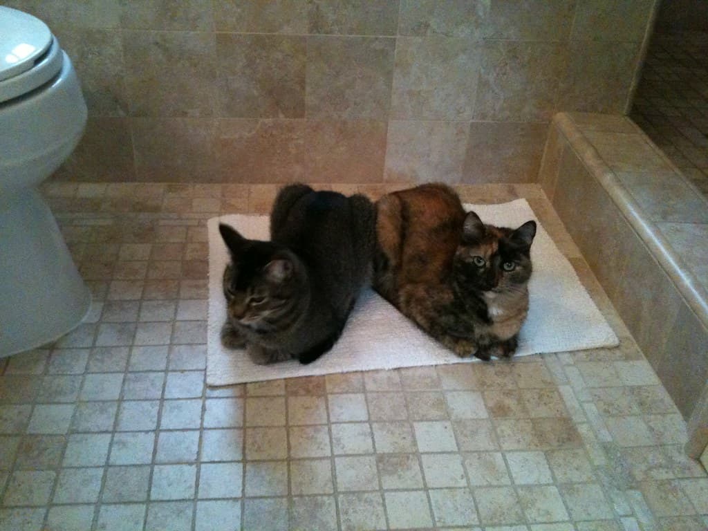 Como Funciona a Climatização por Piso Radiante